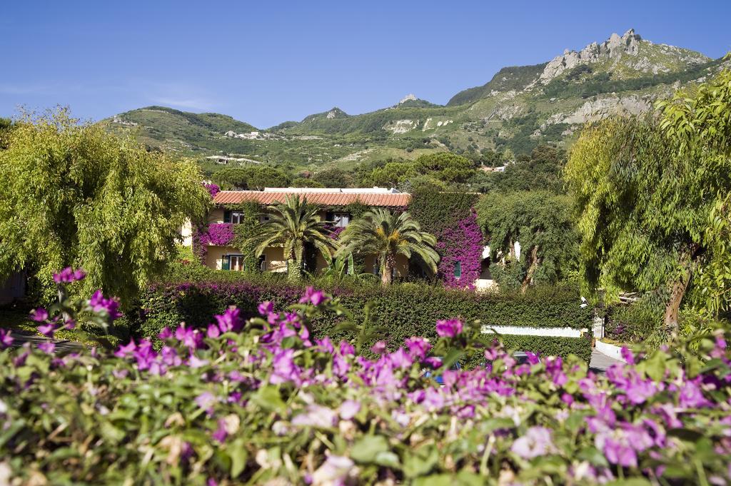 Villa Angela Hotel & Spa Forio di Ischia Zewnętrze zdjęcie